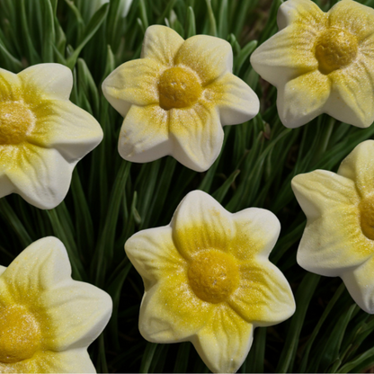 White Daffodil Bath Bomb
