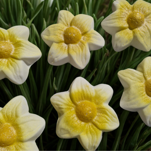 White Daffodil Bath Bomb